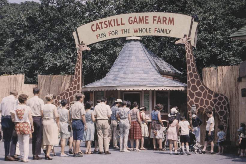 New Documentary American Zoo Bridges Nostalgia and the Unbelievable